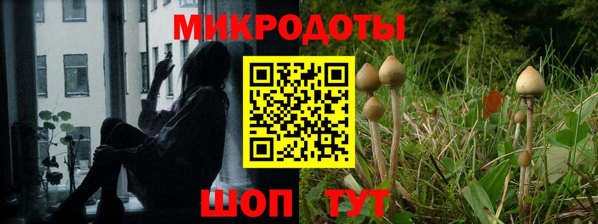Галлюциногенные грибы мухоморы  Вход с VPN  Ликино-Дулёво  Псилоцибиновые грибы MAGIC MUSHROOMS 
